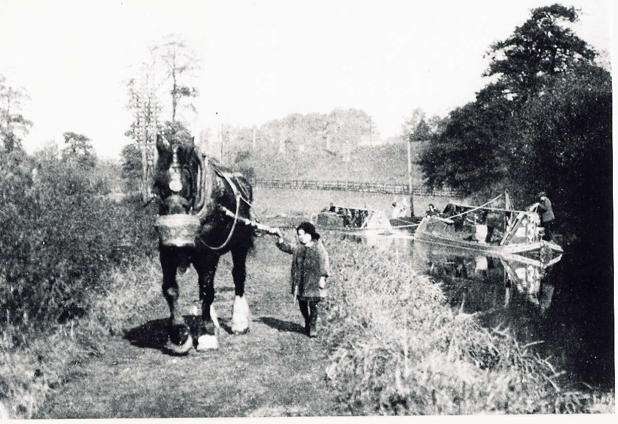 Working Horse